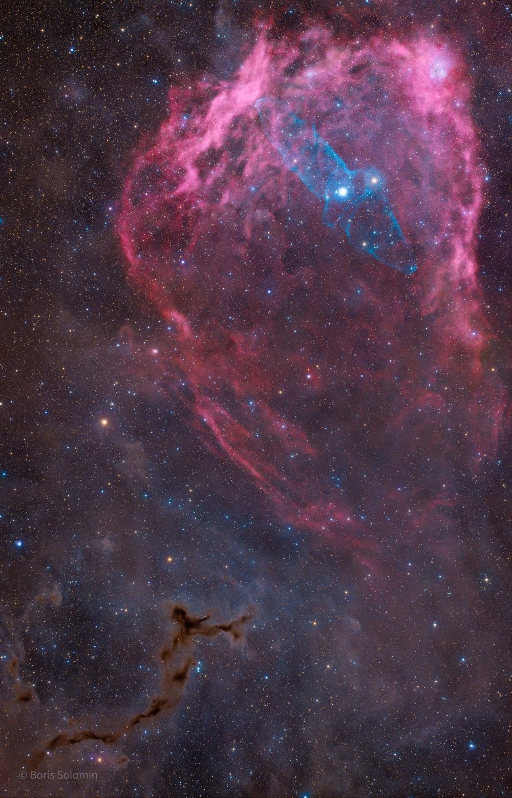 Squid, Bat and Sea Horse nebulae